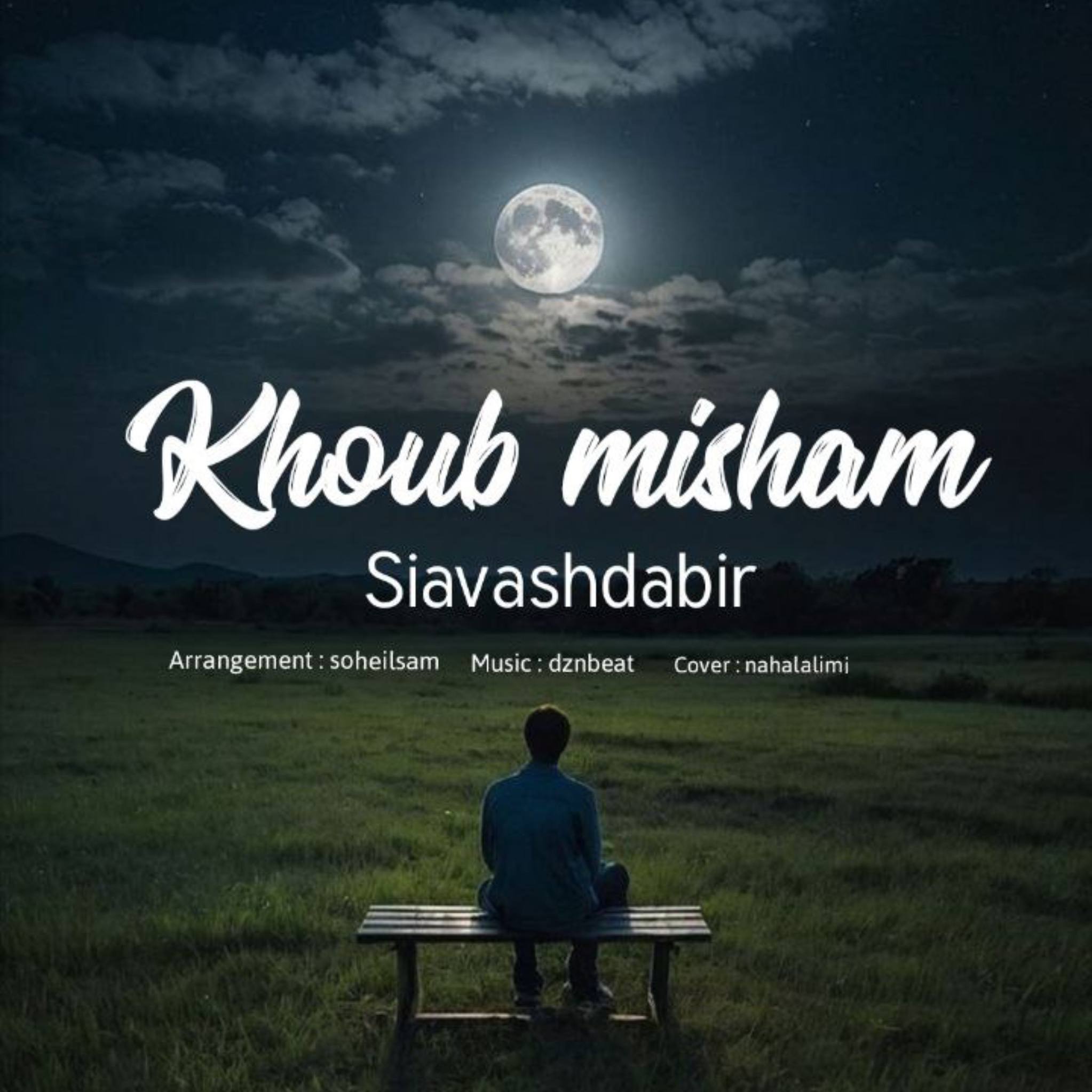 سیاوش دبیر - خوب میشم